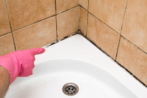 Best Best Mold Removal Companies  in Grundy, VA